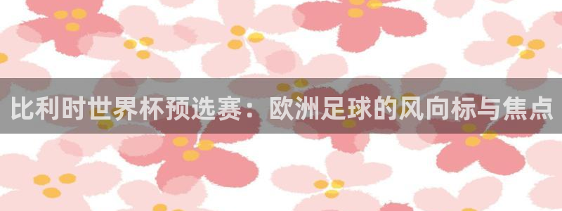 足球世预赛:比利时世界杯预选赛:欧洲足球的风向标与焦点