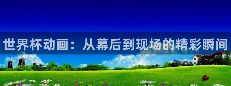 世界杯预选赛:世界杯动画:从幕后到现场的精彩瞬间