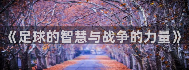 世界杯预选赛:《足球的智慧与战争的力量》