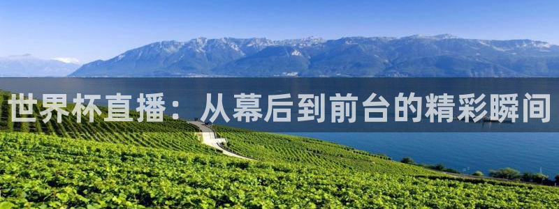 世界杯直播在线观看入口:世界杯直播:从幕后到前台的精彩瞬间
