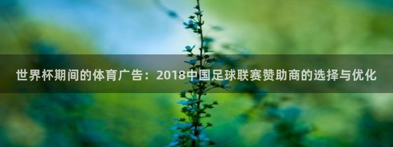 2026世界杯德国队阵容:世界杯期间的体育广告:2018中国足球联赛赞助商的选择与优化