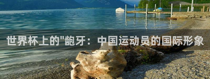 2026世界杯日期:世界杯上的\