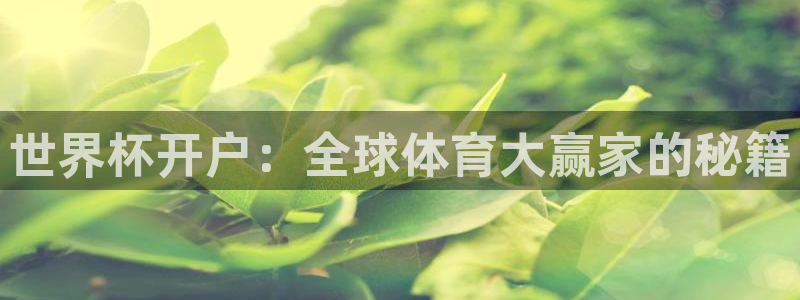 亚洲杯比赛直播:世界杯开户:全球体育大赢家的秘籍