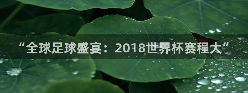 世界杯预赛赛程:“全球足球盛宴:2018世界杯赛程大”
