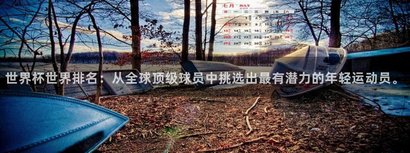 世界杯球队排名:世界杯世界排名:从全球顶级球员中挑选出最有潜力的年轻运动员。