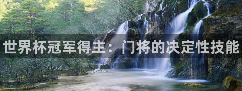 世界杯系列赛:世界杯冠军得主:门将的决定性技能