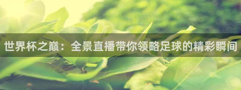 世预赛免费直播入口:世界杯之巅:全景直播带你领略足球的精彩瞬间