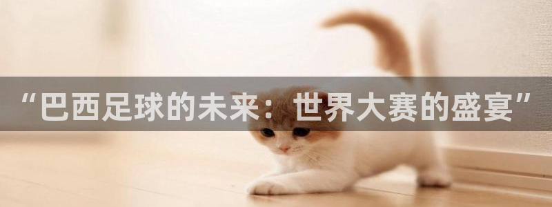 世界杯欧洲预选赛:“巴西足球的未来:世界大赛的盛宴”