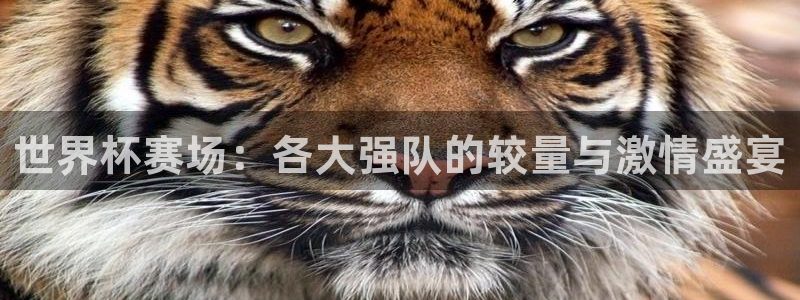 世界杯2026赛制:世界杯赛场:各大强队的较量与激情盛宴
