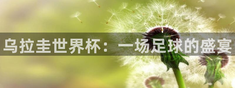 世预赛免费直播入口:乌拉圭世界杯:一场足球的盛宴