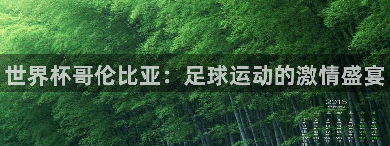 2026世界杯南美区积分榜:世界杯哥伦比亚:足球运动的激情盛宴
